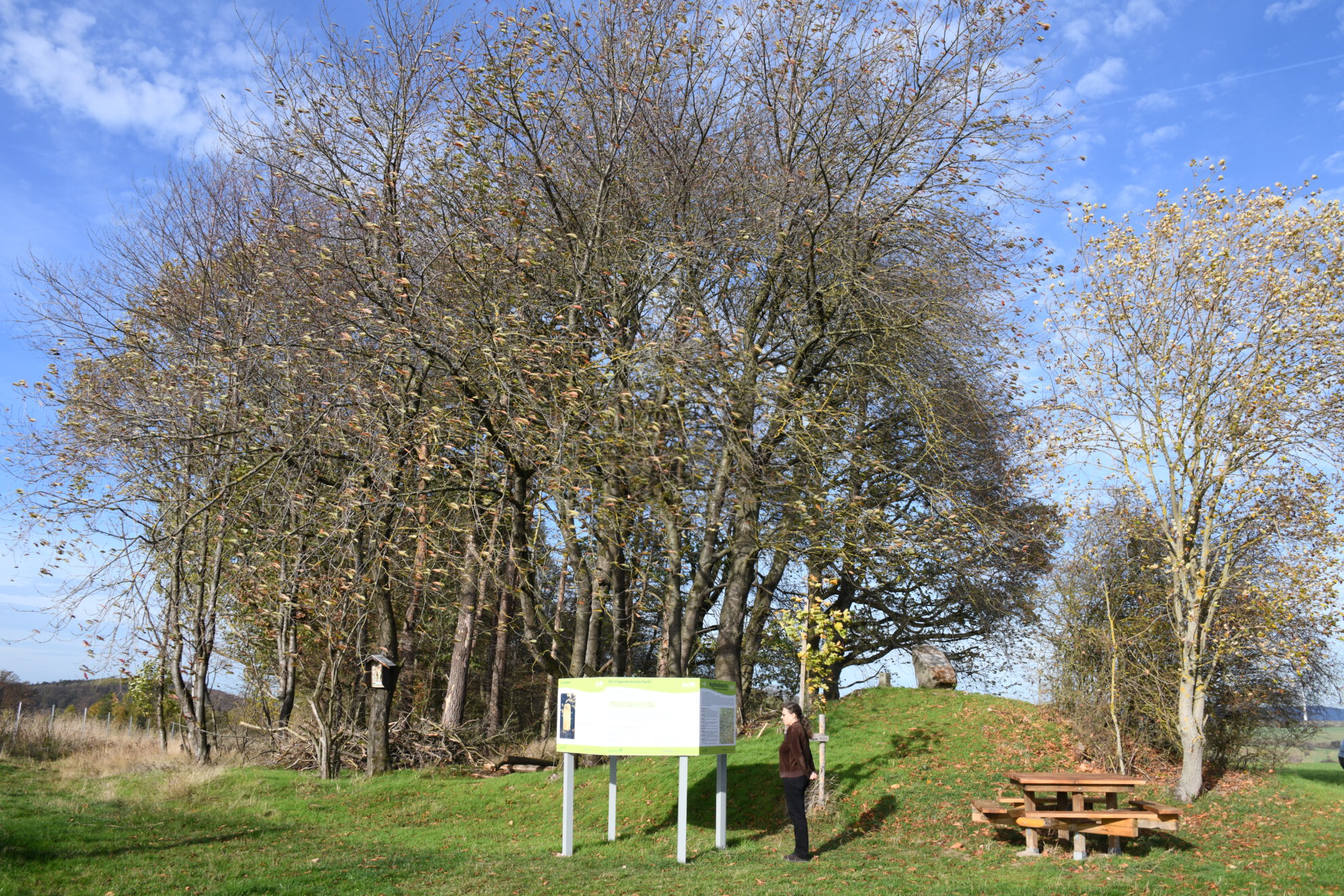 Fegebankswarte
